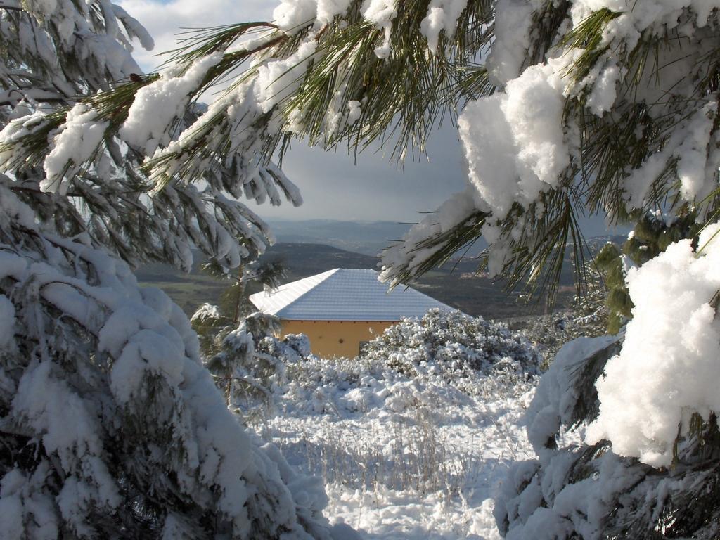 First Light Cabins Amirim Exteriér fotografie